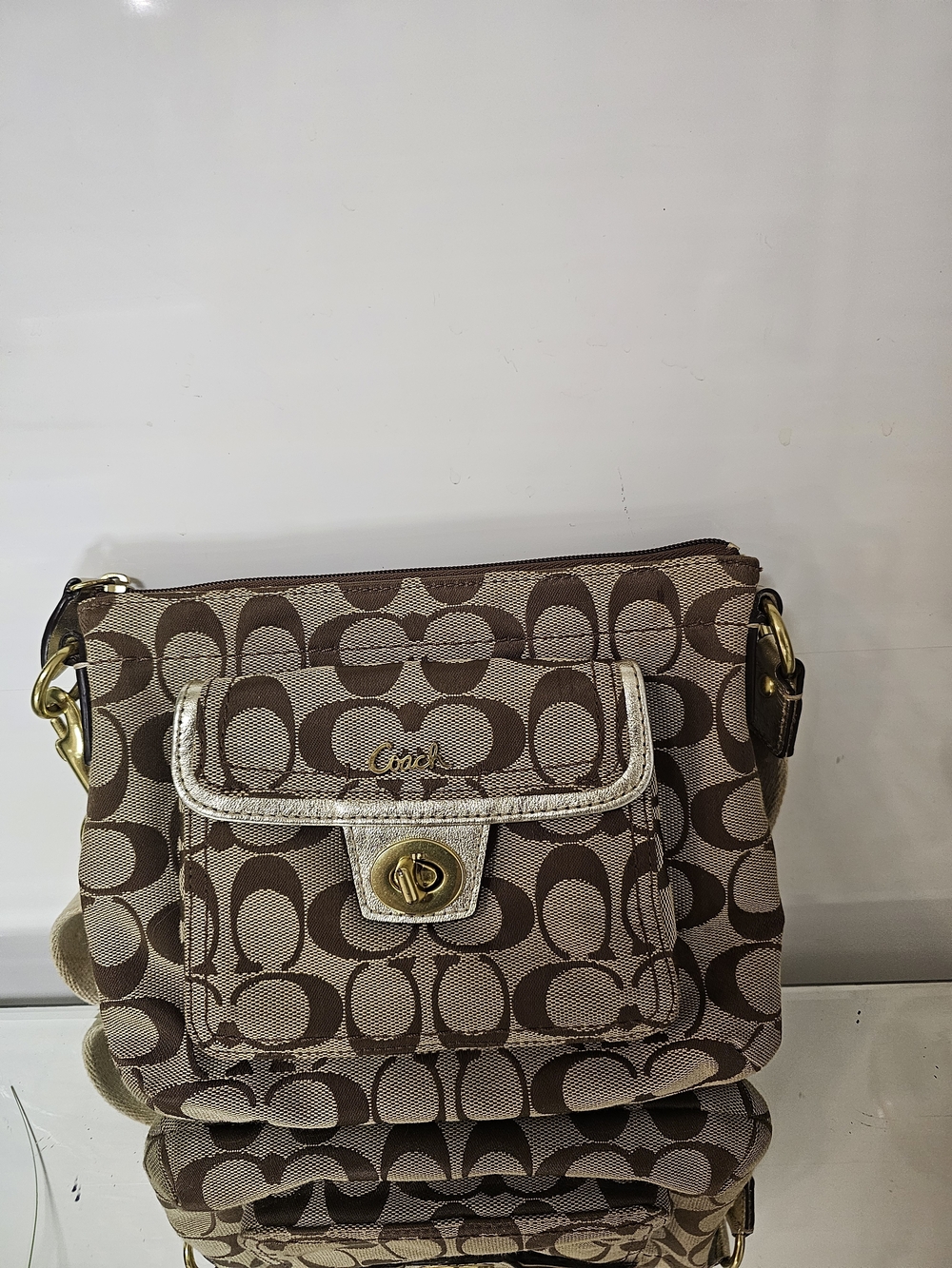 Coach Signature Canvas Crossbody Bag in Brown